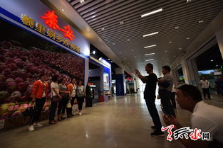 天天天水網全景展示中西部旅游商品展