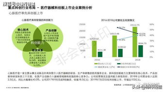 2019科創(chuàng)獨角獸研究報告 信息技術(shù)咨詢服務(wù)